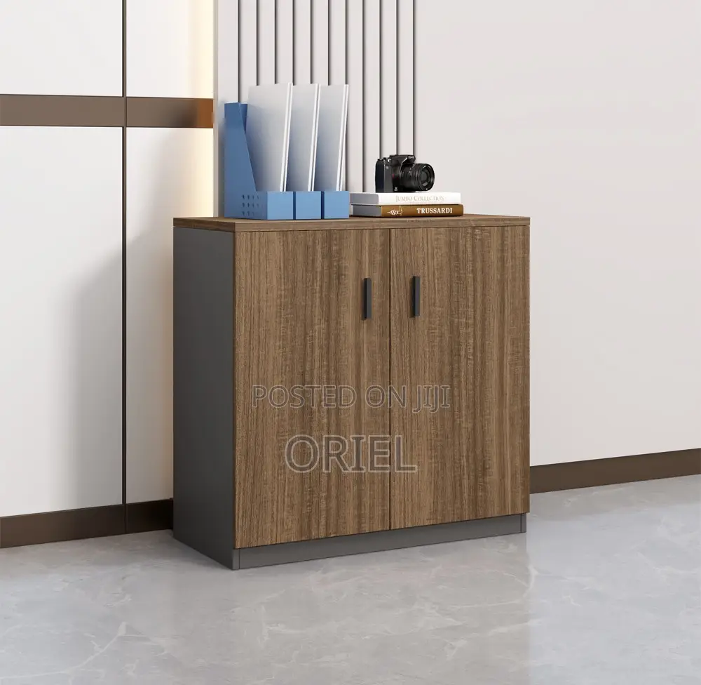 Organizer Cabinet : 2-Door Office Filing Cabinet Credenza