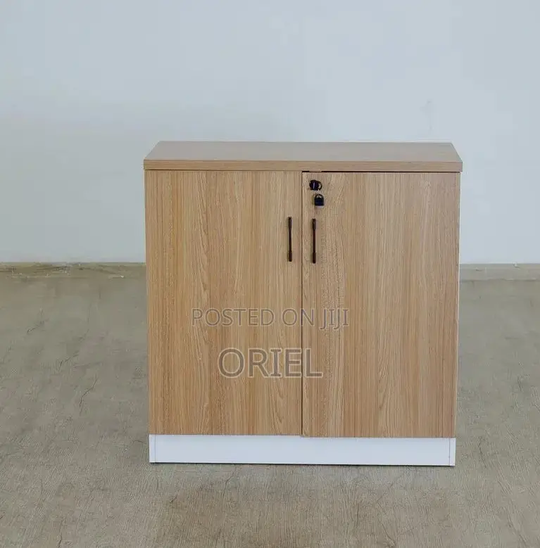 Organizer Cabinet : 2-Door Office Filing Cabinet Credenza