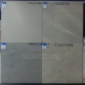 Floor Tiles 600by600cm