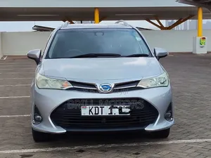 Toyota Corolla Fielder 2019 Silver