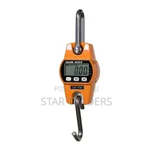 100 Kg Crane Scale