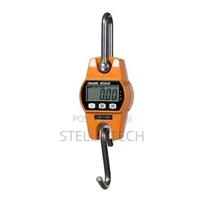 100 Kg Crane Scale