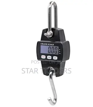 300kg Hanging Crane Scale