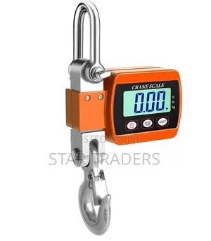 500 Kg Hanging Crane Scale