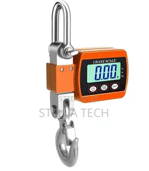 500 Kg Hanging Crane Scale