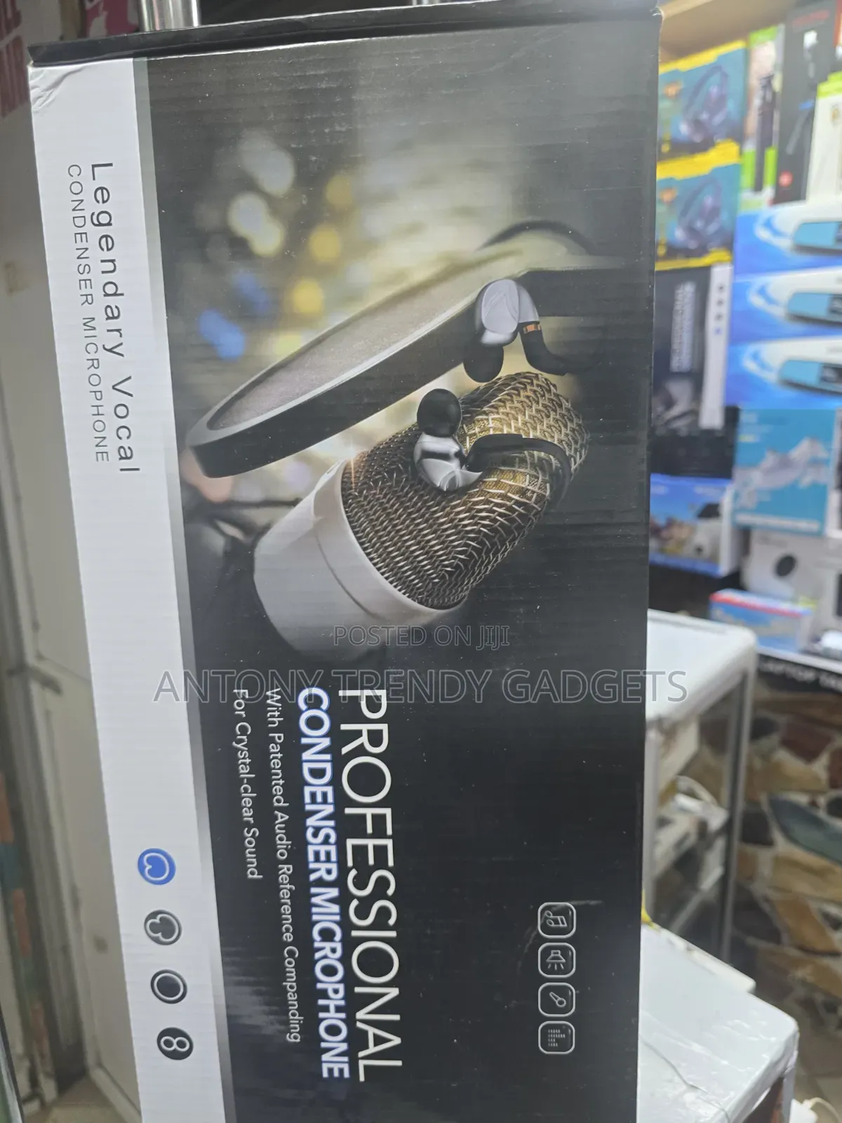 Professional Condenser Microphone