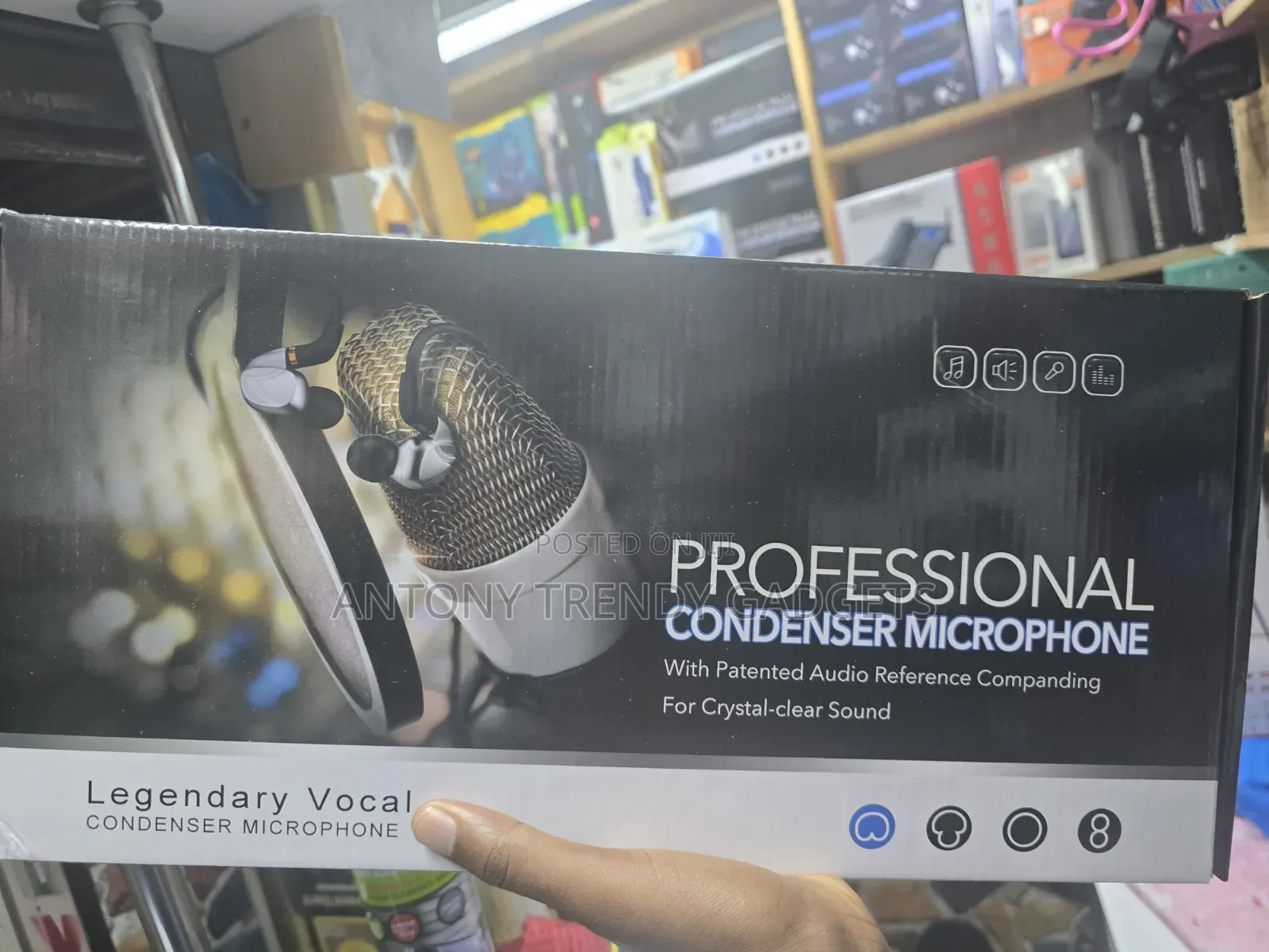 Professional Condenser Microphone