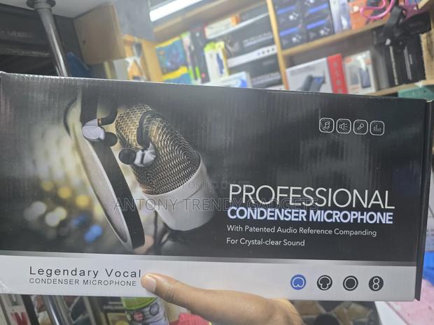 Professional Condenser Microphone - main view