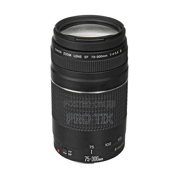 Canon Ef 75-300mm F/4-5.6 Iii Usm Len