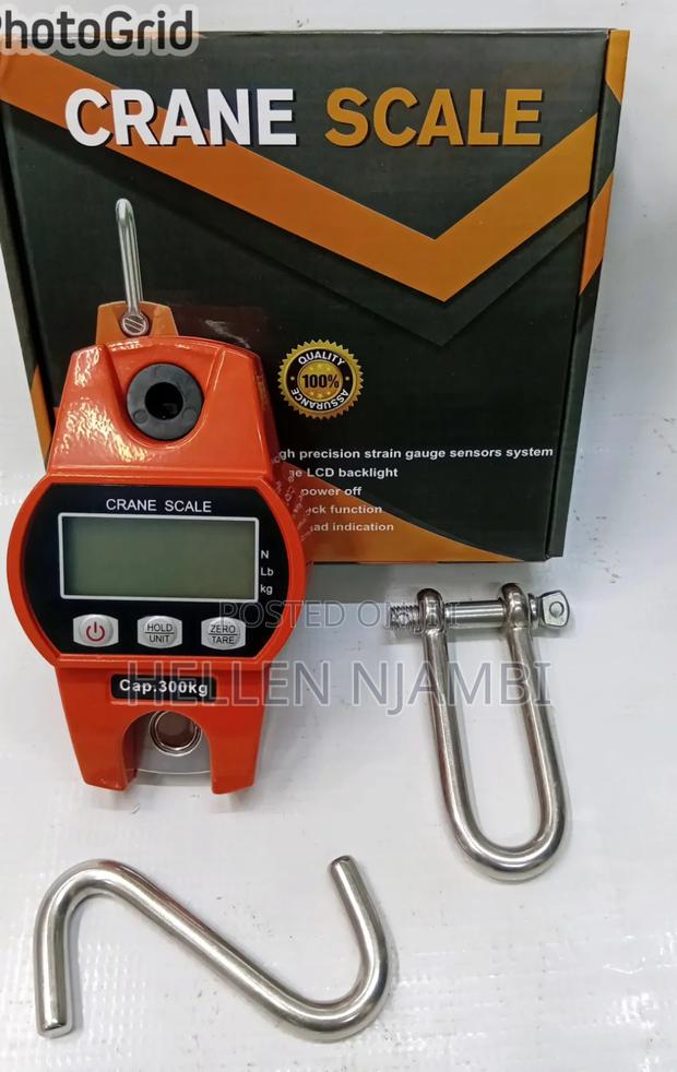 300kg Digital Hanging Crane Scale