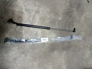 Boot Shocks Fj 100
