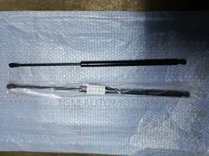 Boot Shocks Xtrail 2007 T31