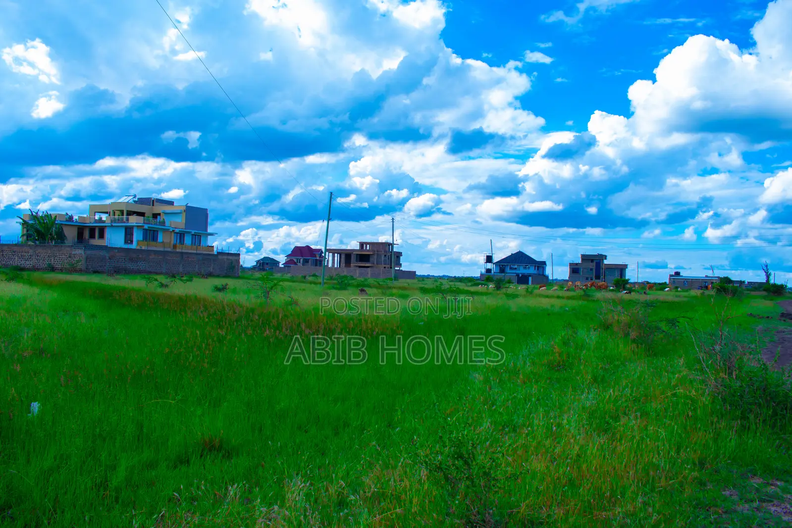 Prime Plots for Sale in Juja Mastore