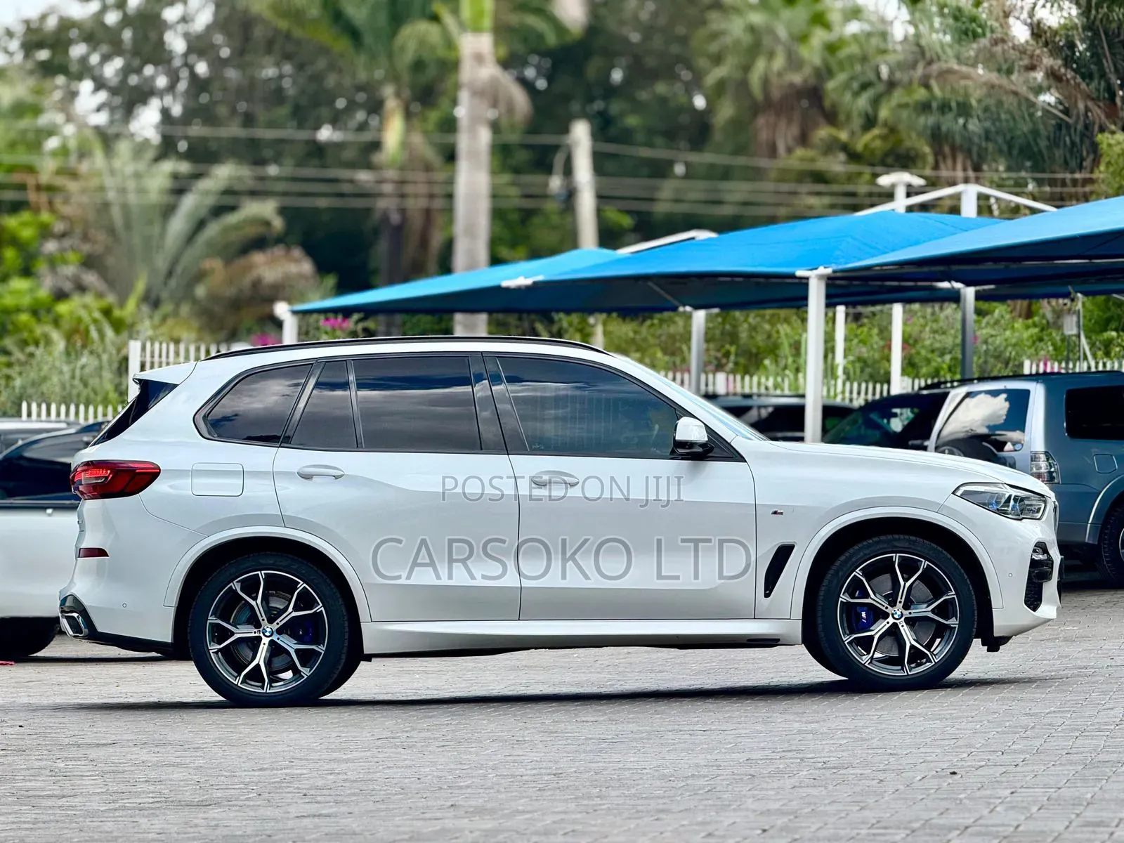 BMW X5 2019 Pearl