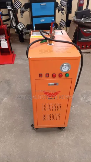 High Pressure Hot Steam Cleaning Machine 220v Sunshine