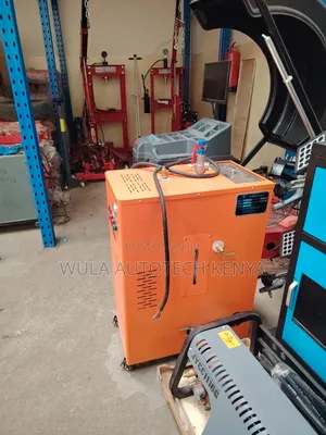 High Pressure Hot Steam Cleaning Machine 220v Sunshine