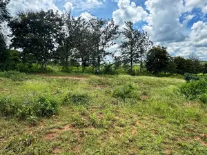 Prime 1/8 Acre Plot for Sale in Thika