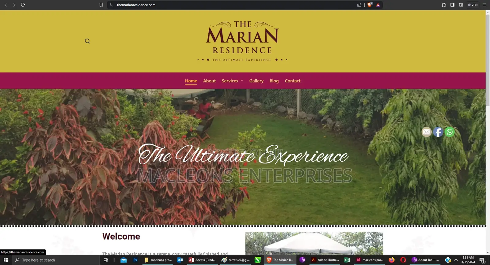Web Design and Development