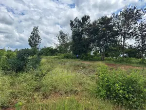 Prime 1/8 Acre Plot for Sale in Thika