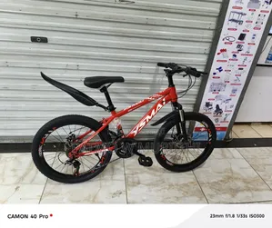 Kids Mountain Bike Size 22