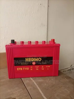 T110 Hegmo Efb