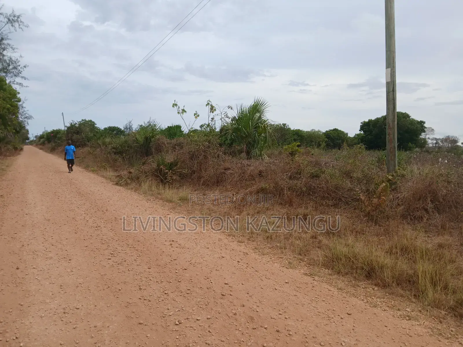Plots/Shambas in HINDI/mokowe Lamu Are Now Available at Chepst Prices