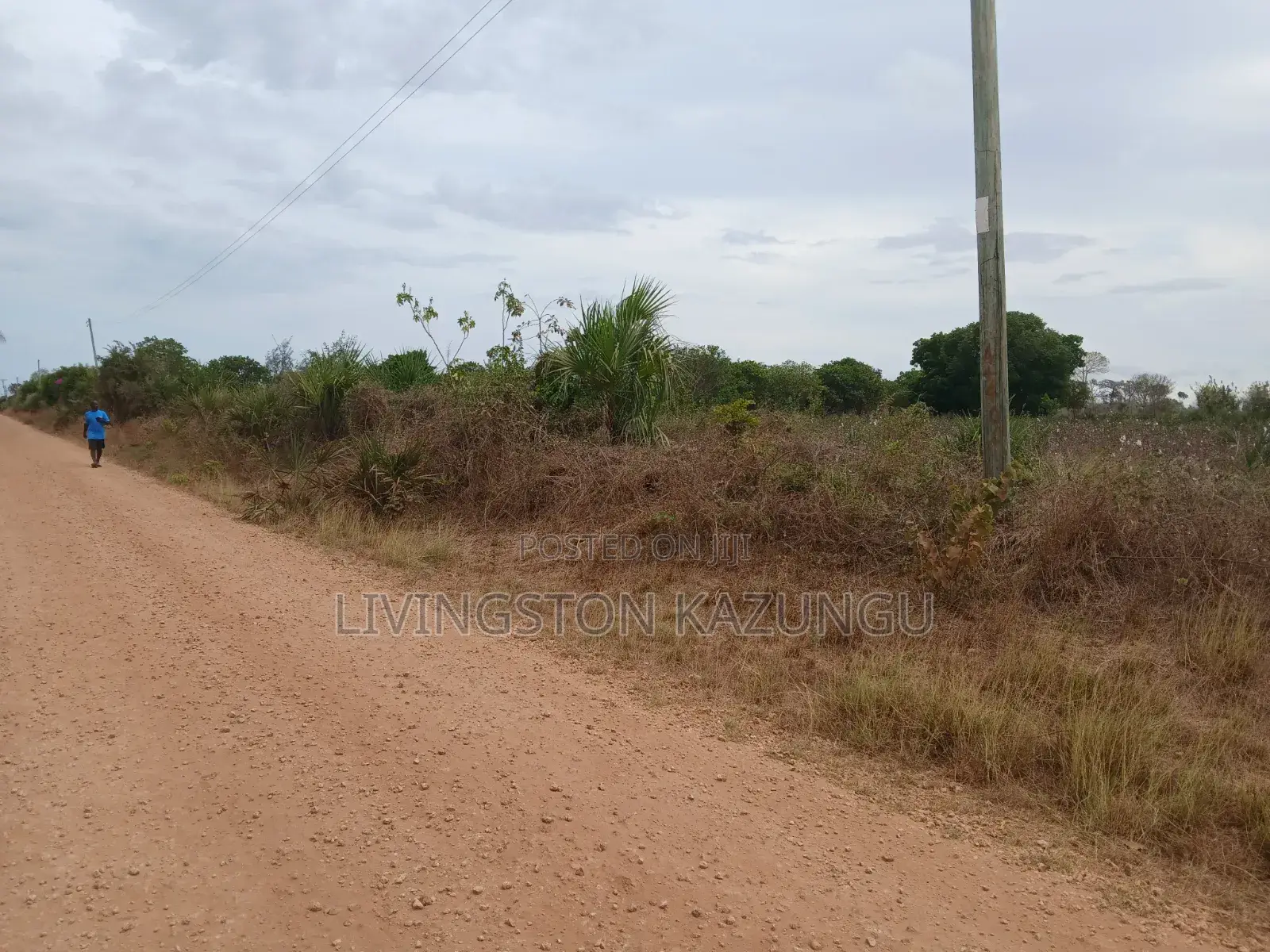 Plots/Shambas in HINDI/mokowe Lamu Are Now Available at Chepst Prices