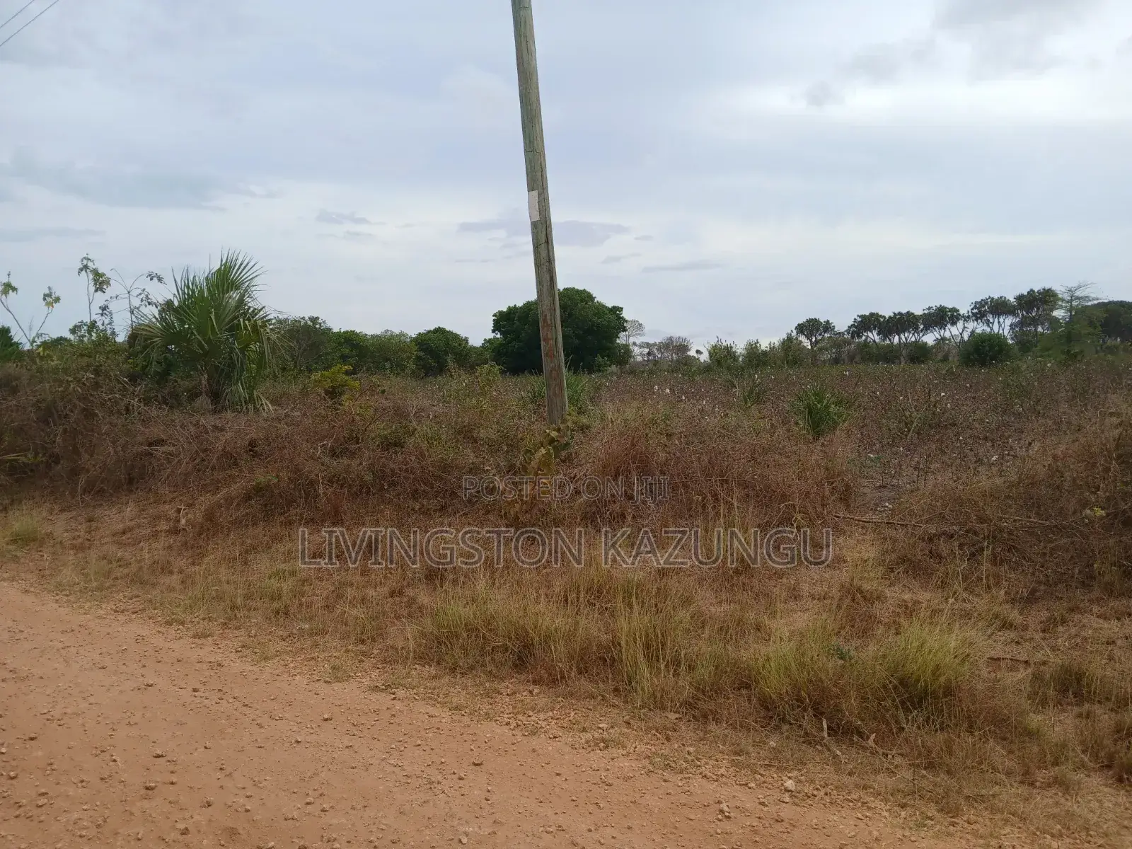 Plots/Shambas in HINDI/mokowe Lamu Are Now Available at Chepst Prices