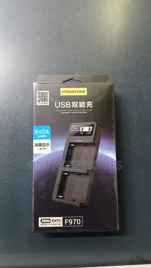 Np-F970 Dual Charger