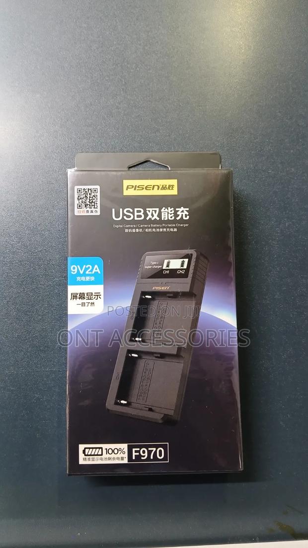 Np-F970 Dual Charger