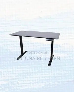 Heavy Duty One Split Full Electric Standing Desk Compact Sit Stand