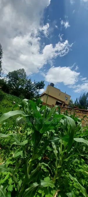 Prime Land in Ngong for Sale Behind Ngong Railway Station