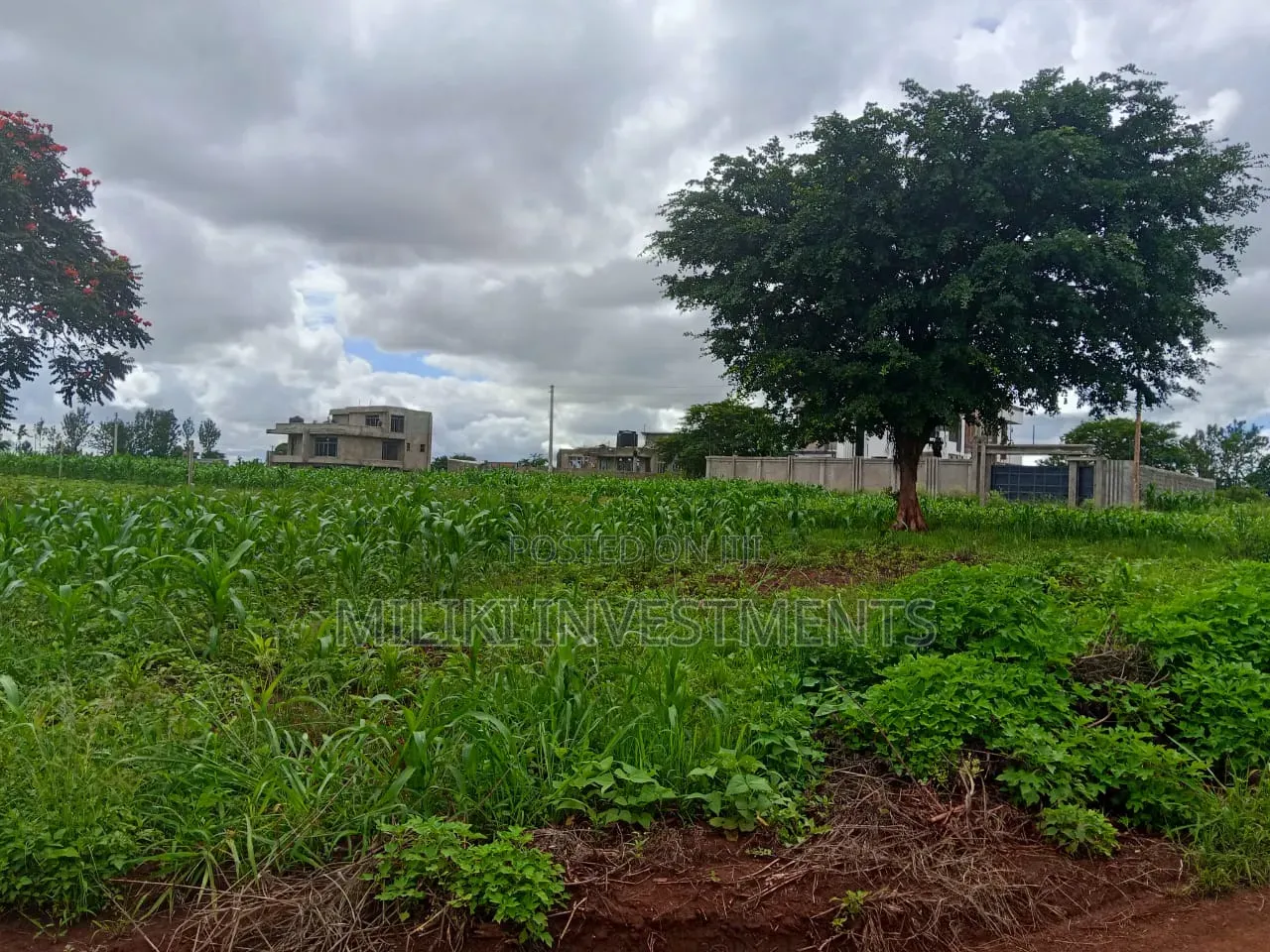 40 by 80 Plot on Sale at Twiga Farm