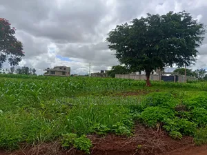40 by 80 Plot on Sale at Twiga Farm