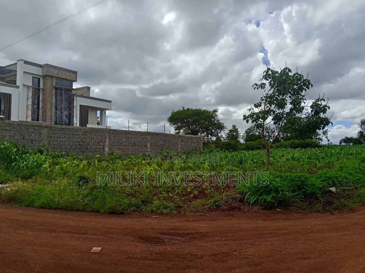 40 by 80 Plot on Sale at Twiga Farm