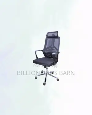 High-Quality Mesh Office Chair Headrest Lumbar Support Wide Shipping