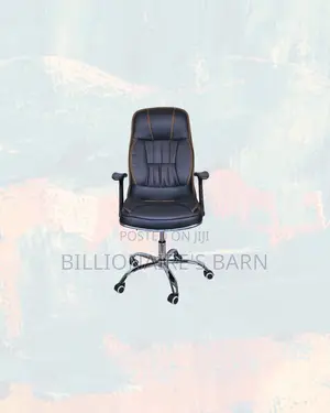 Professional Office Chair High Back Padded Armrests Ready for Delivery
