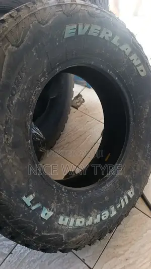 265/70r16 Everland