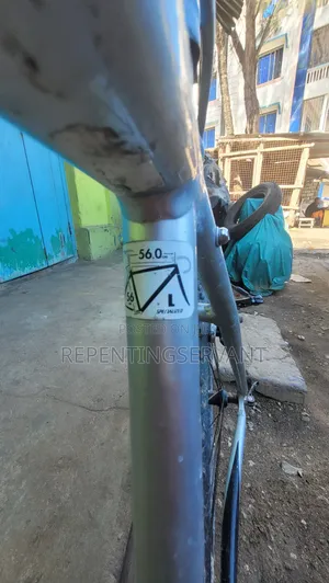Road Bicycle