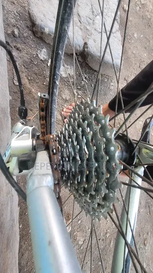 Road Bicycle