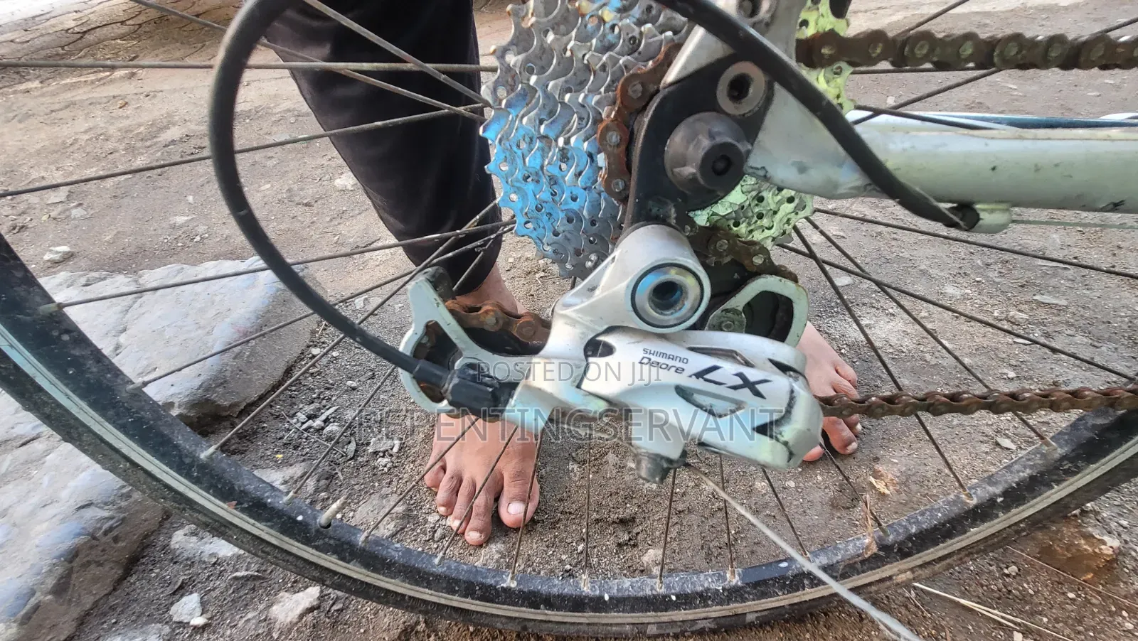 Road Bicycle