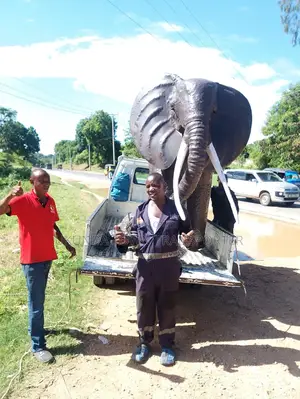 Transport/Moving Service