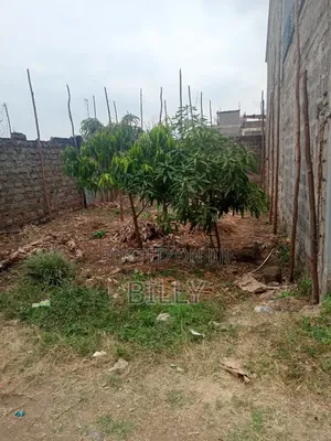 Plot for Sale at Kenyatta Road