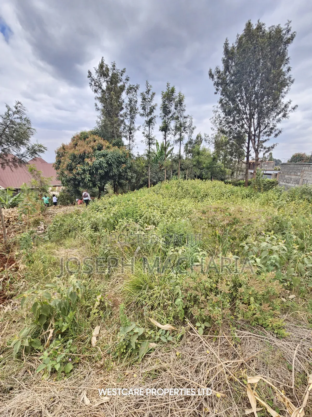 Plot for Sale Riabai Kirigiti