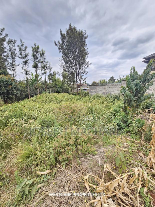 Plot for Sale Riabai Kirigiti - thumbnail 6
