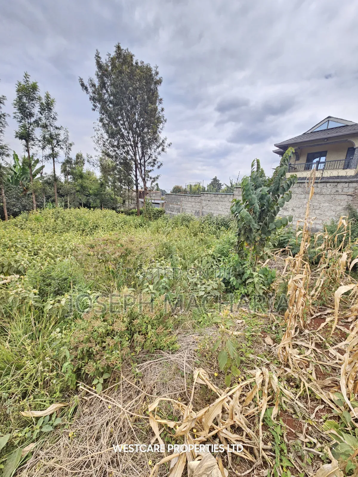 Plot for Sale Riabai Kirigiti