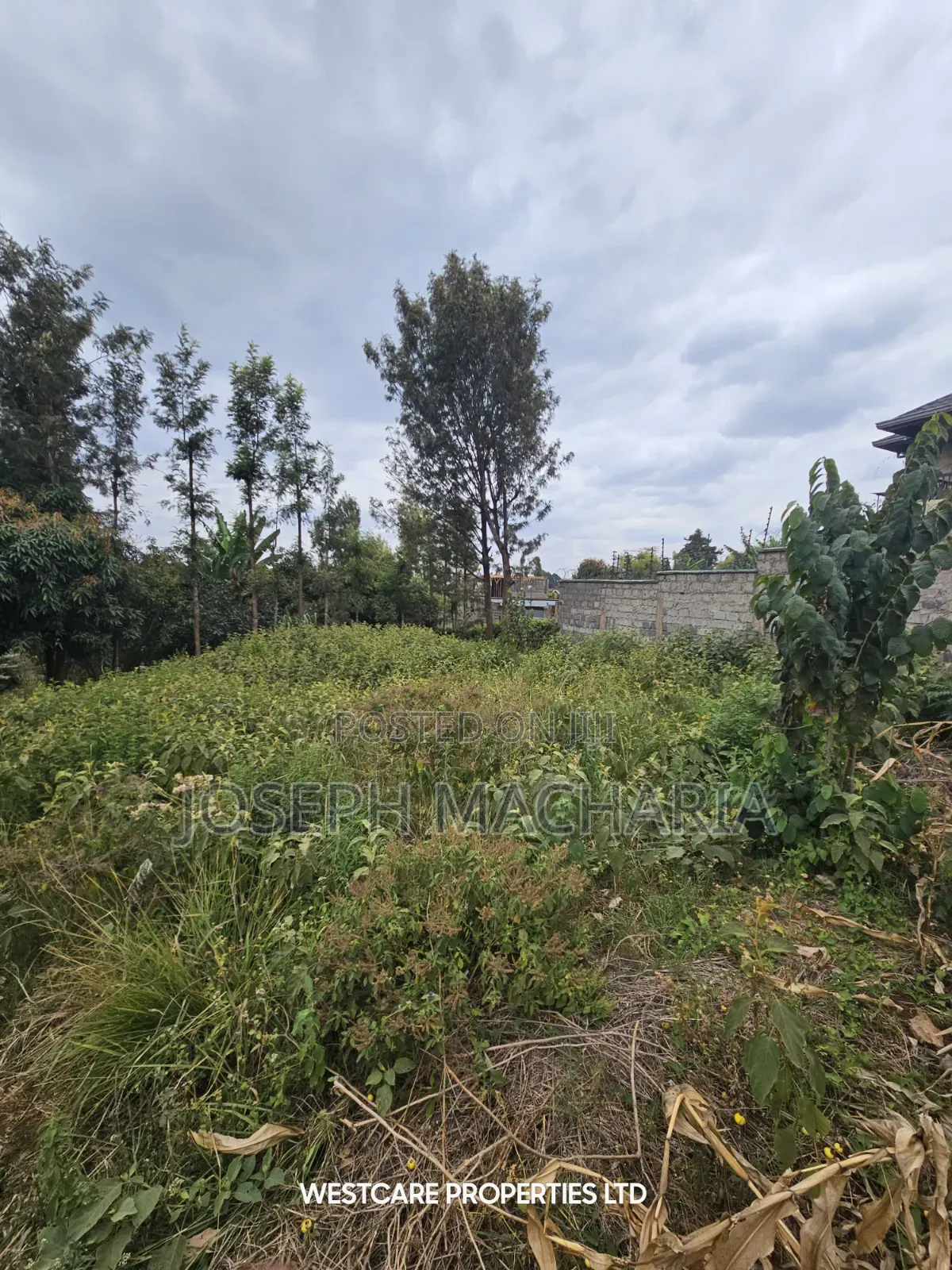 Plot for Sale Riabai Kirigiti