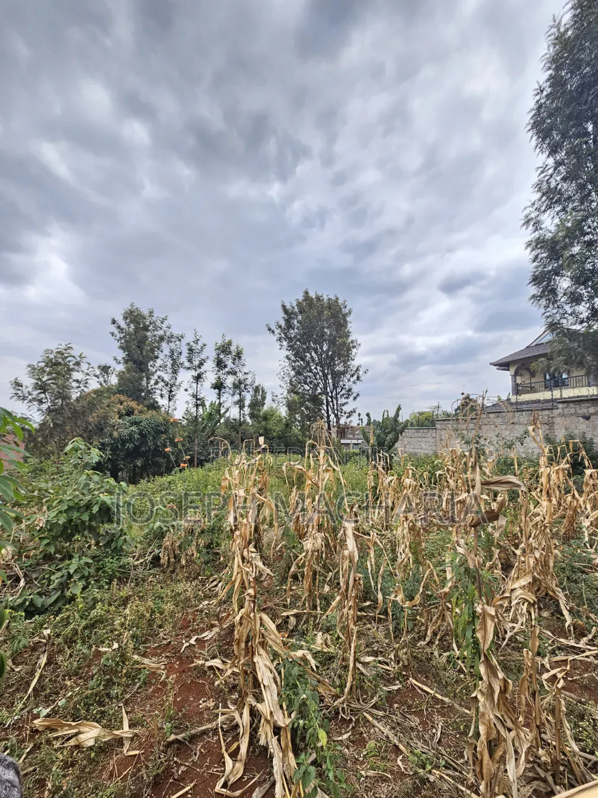 Plot for Sale Riabai Kirigiti