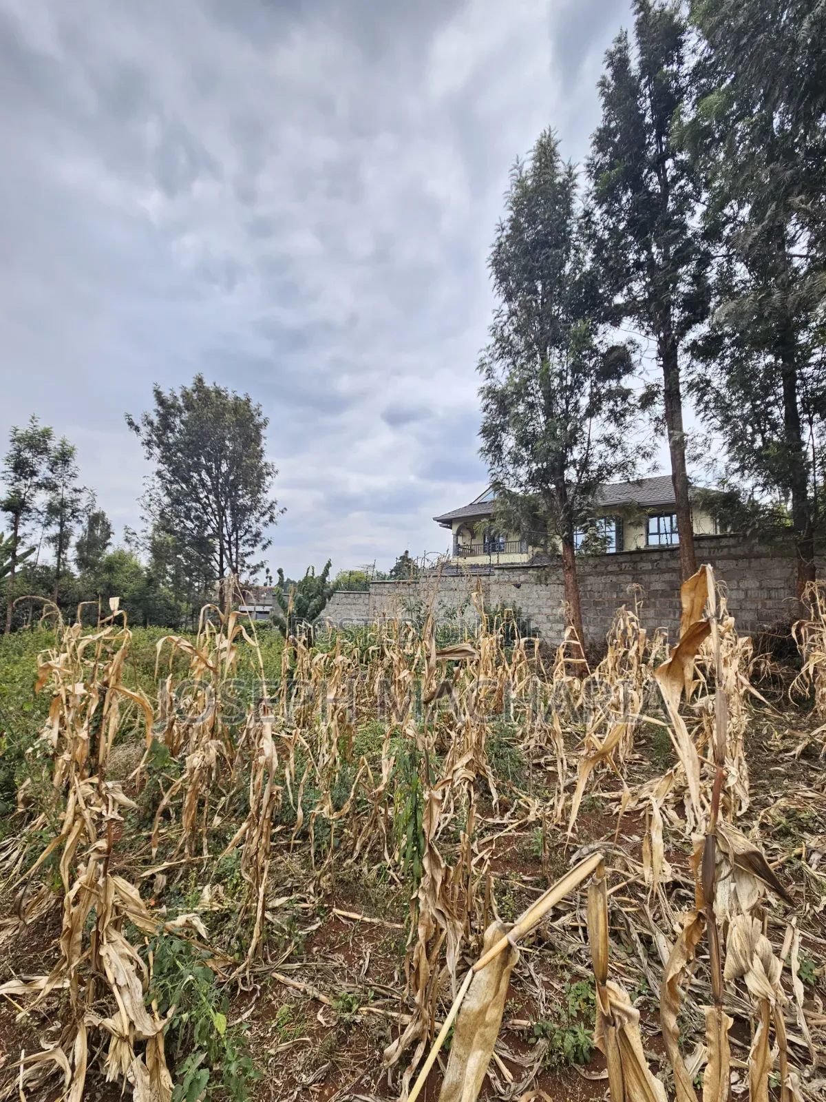 Plot for Sale Riabai Kirigiti