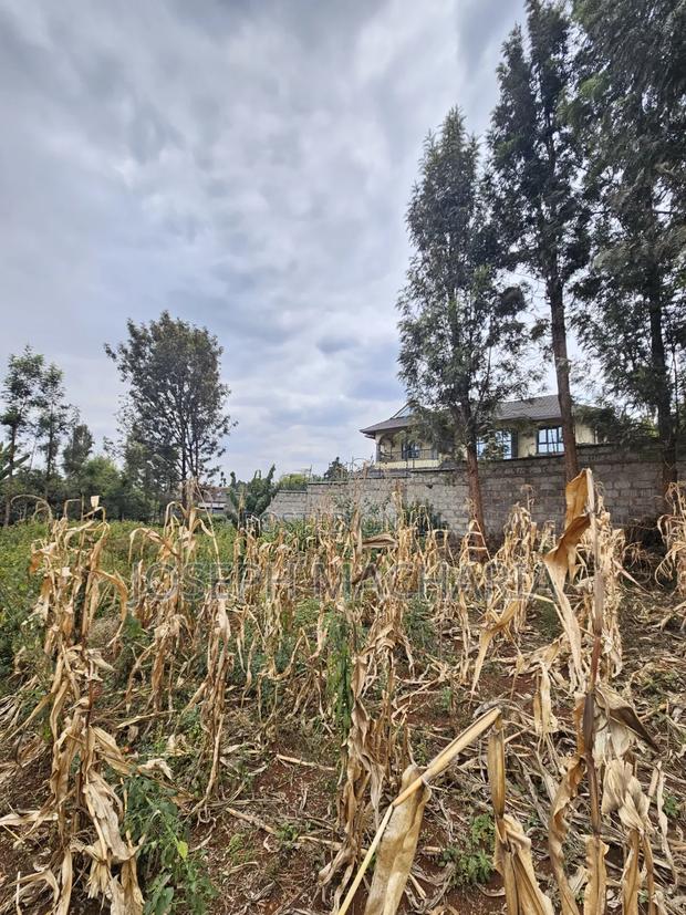 Plot for Sale Riabai Kirigiti - thumbnail 10